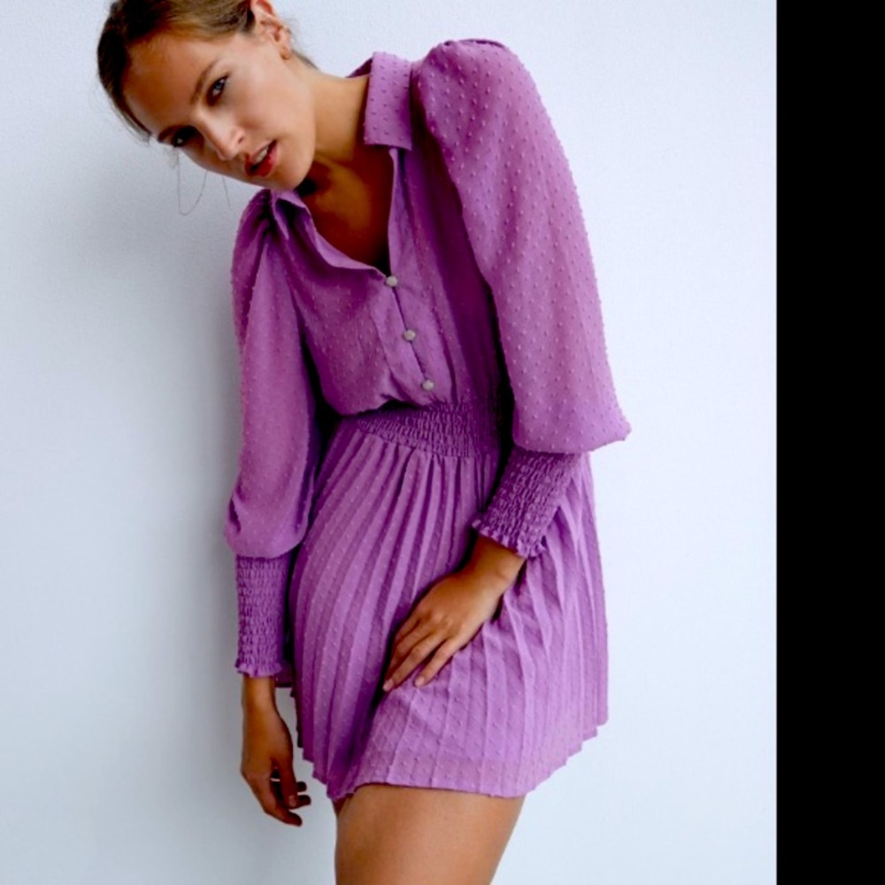 Zara pleated dotted mesh dress